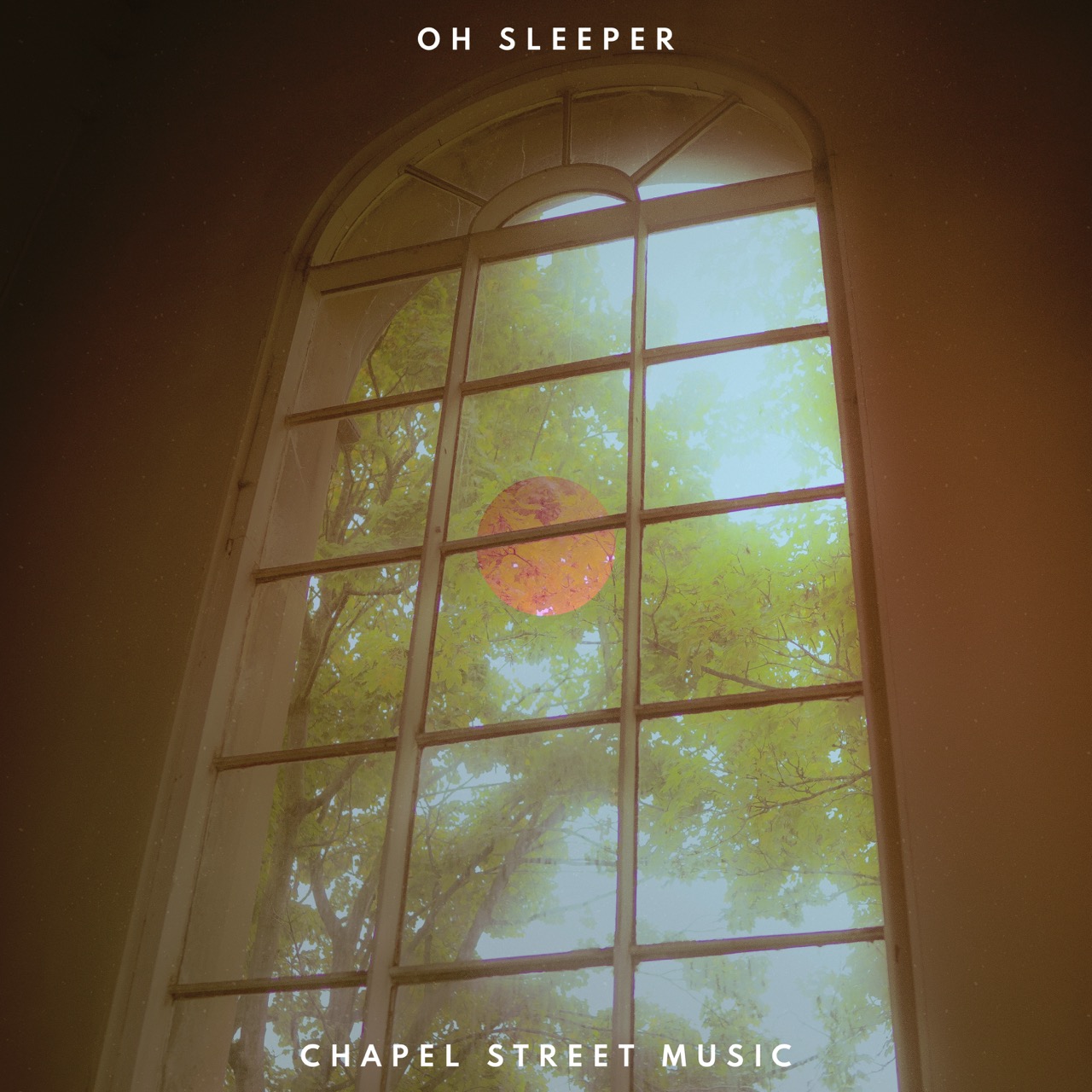 Image attachment with file name: SPCS Website 172.jpeg